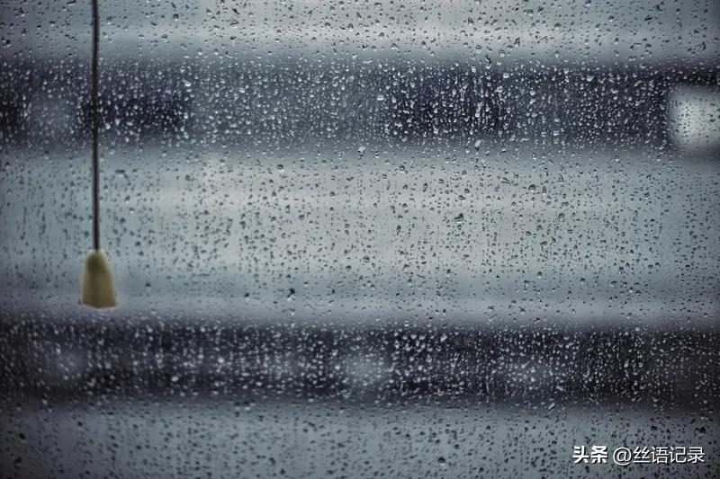 雨一直下，从身边疾驰而过的小汽车的车尾雾气一片，公路上的雨水被碾成了粉末，于是，