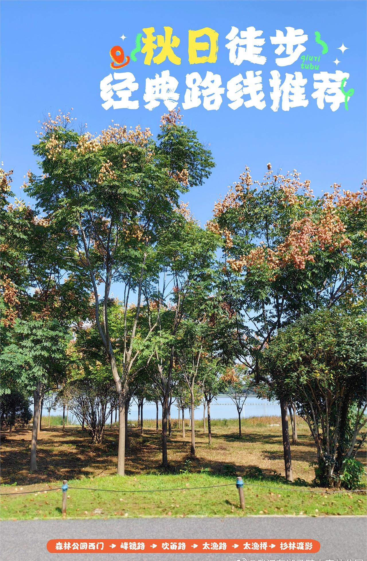 秋阳温柔，落叶缤纷，正是走出家门、拥抱自然的好时节。
避开人潮，于城市喧嚣之中取