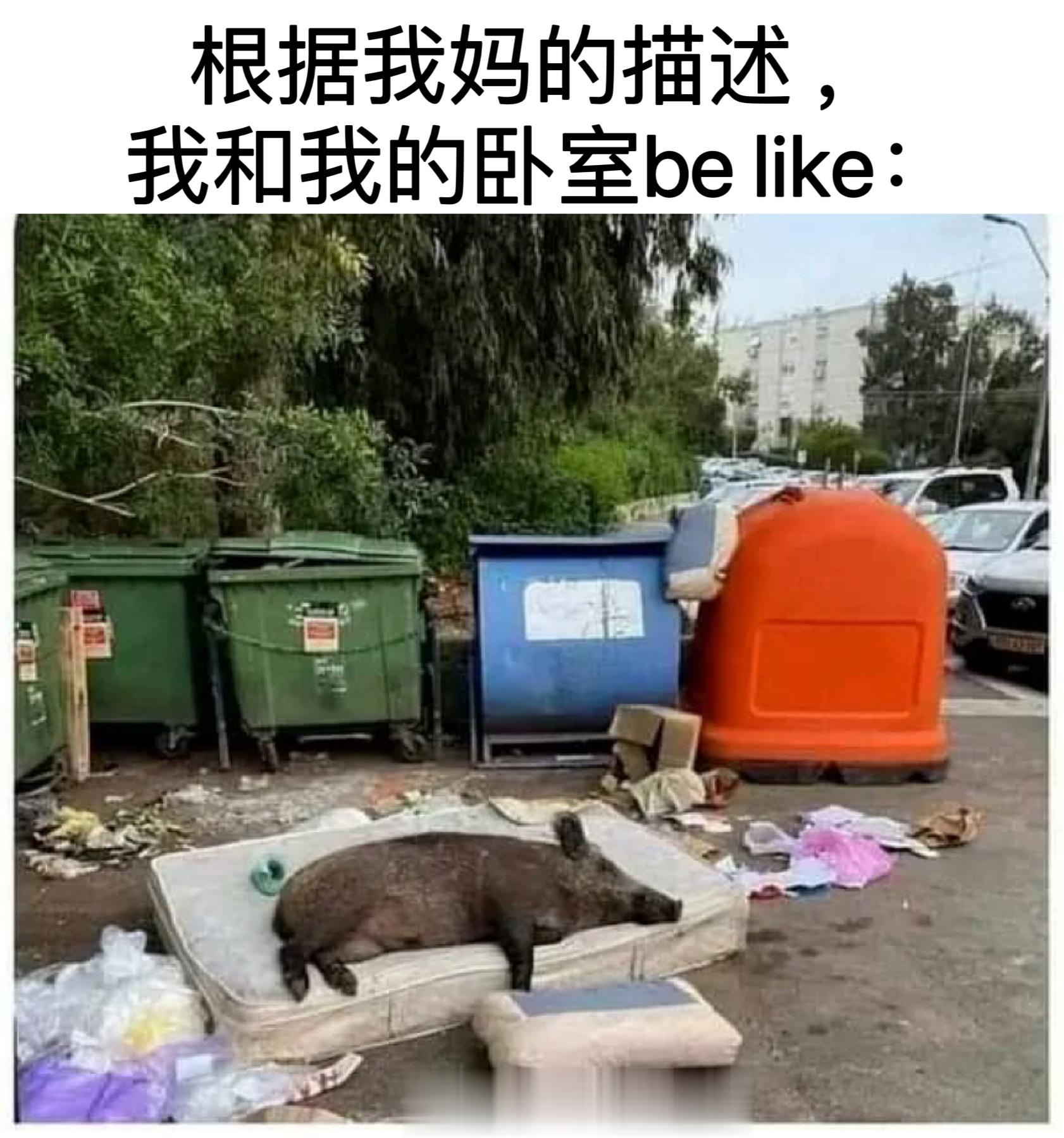 #meme##me_irl# ​​​
