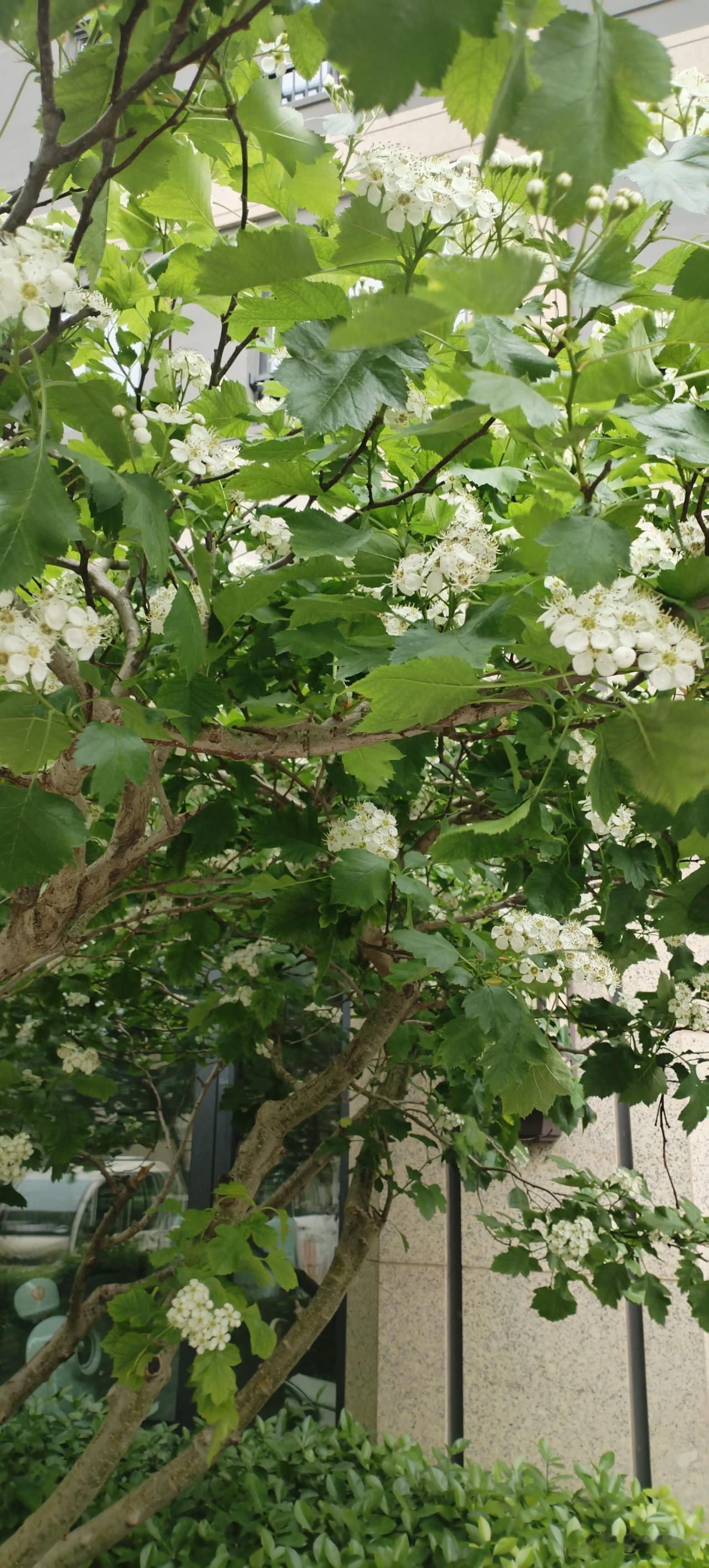 刷到这个新闻了，那么长时间过去了，不过看到的时候心里还是咯噔一下，对孩子的妈妈来