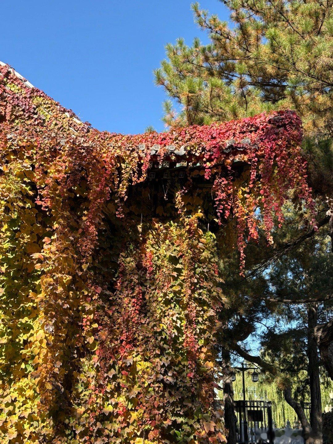 色彩斑斓陶然亭 摄影