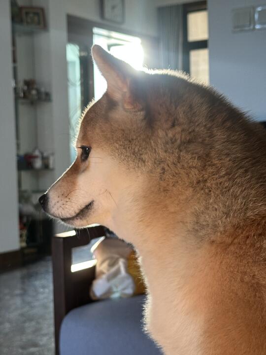 这就是男生看甜妹的感觉吗