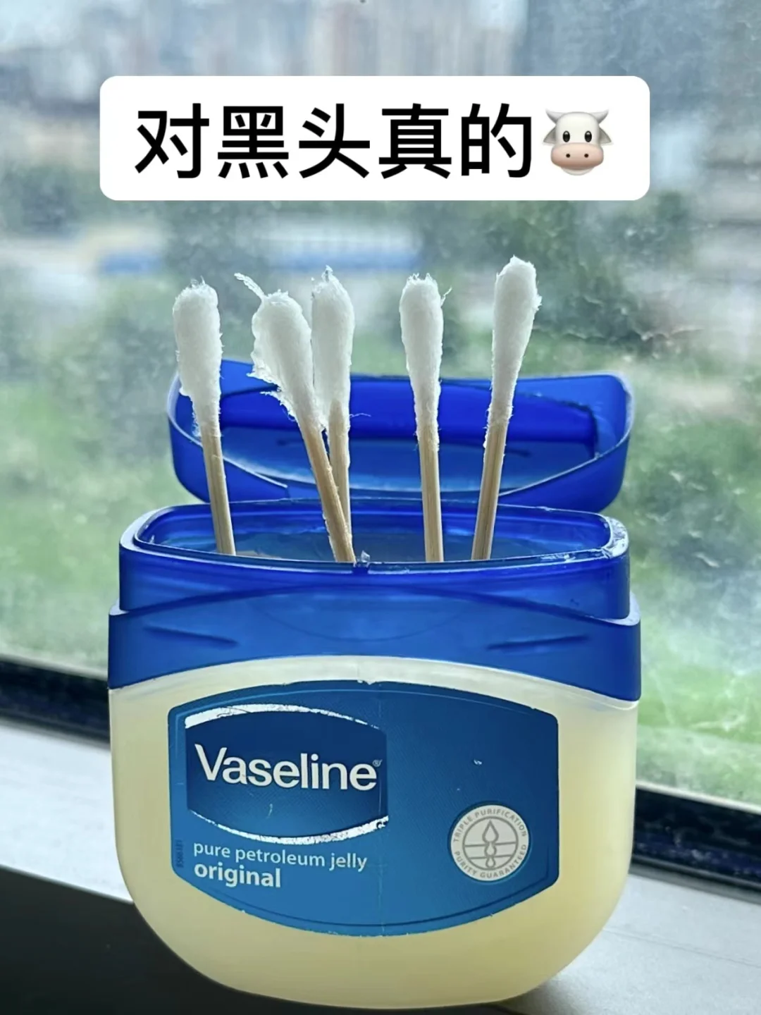 我天！这辈子没想到凡士林去黑头这么牛！