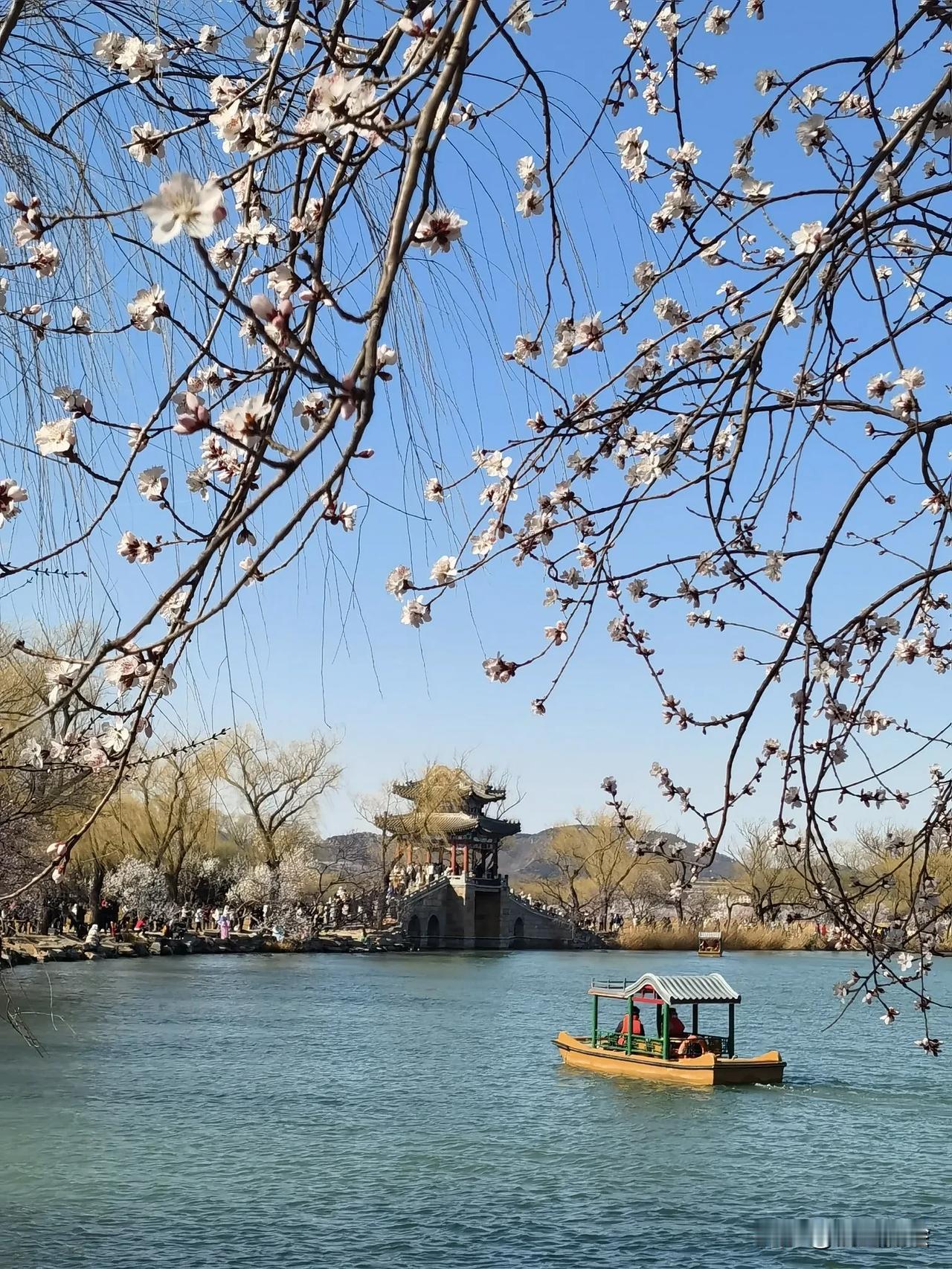 颐和园近日，在颐和园中，鲜花竞相绽放，呈现出红似火、粉如霞、白像雪的绚丽色彩。柳