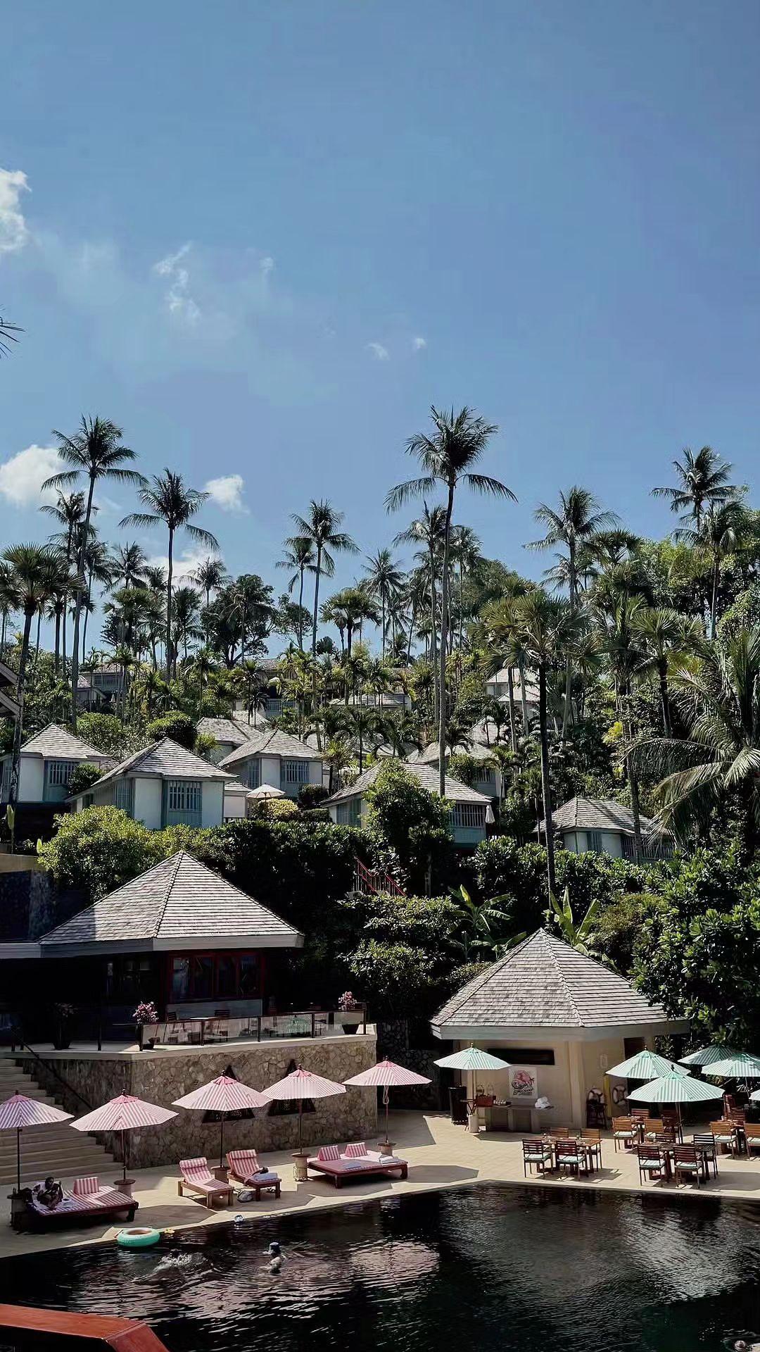 🌴椰林是自然的帘幕，小屋藏着夏日的慵懒✨。泳池漾碎阳光，偷得浮生半日闲🌊。
