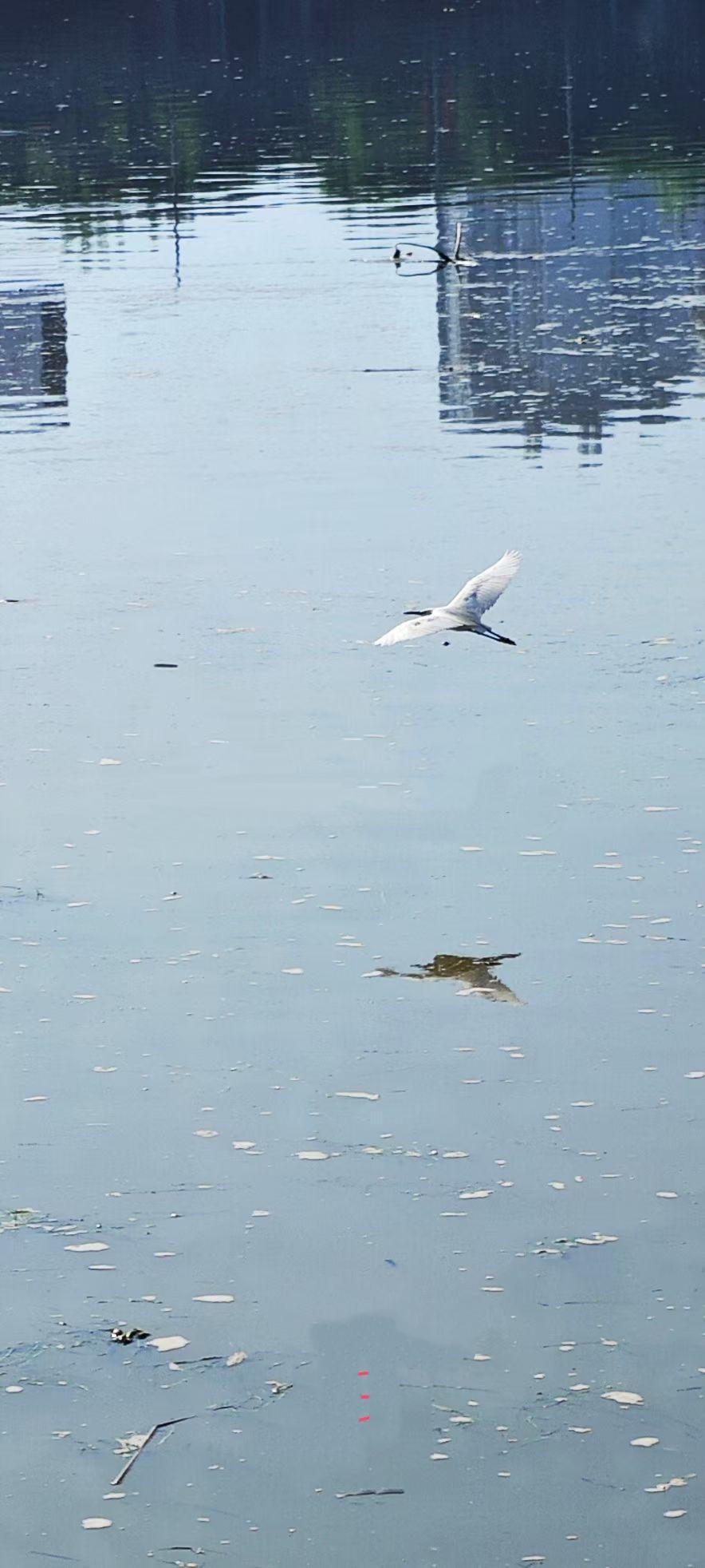 （原创）
台风过后……
