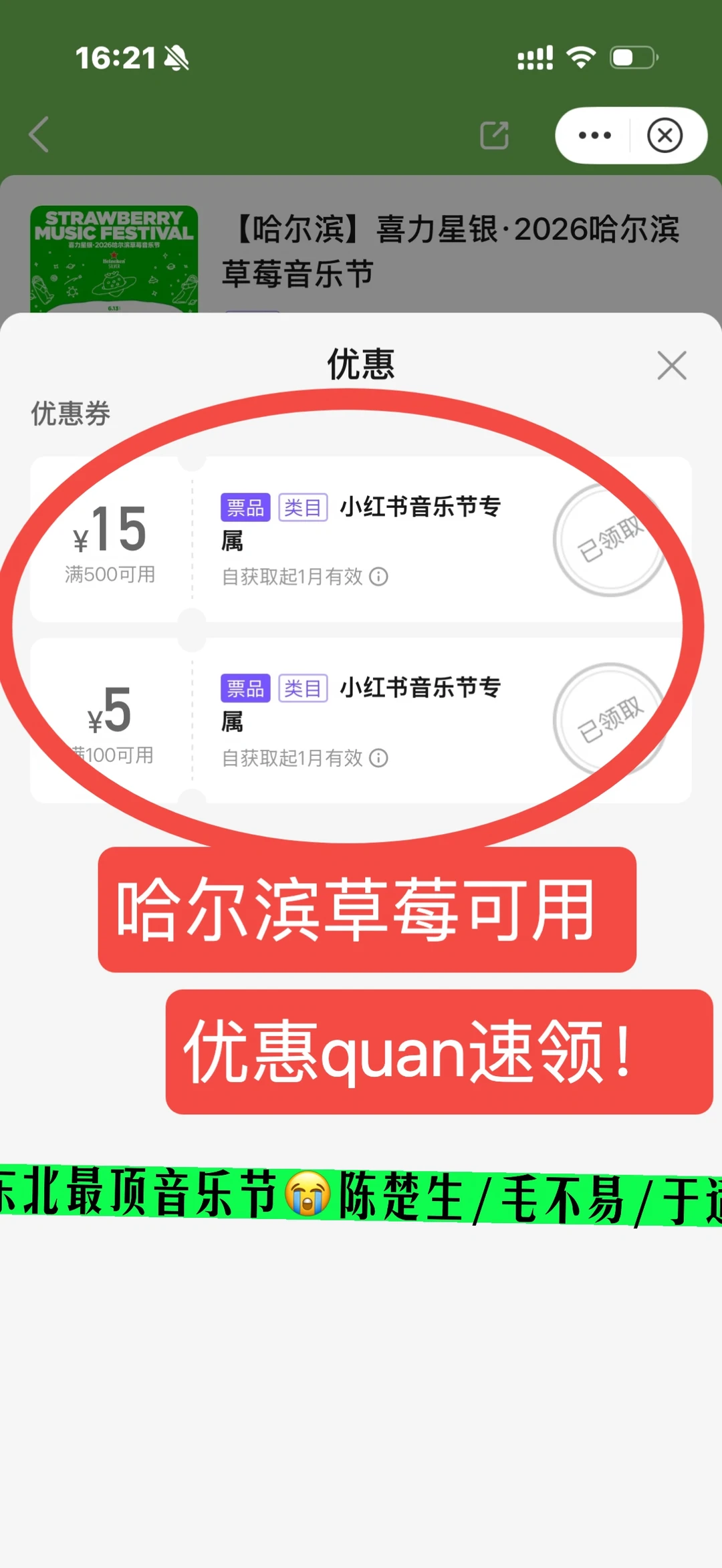 东北最顶音乐节😭陈楚生/毛不易/于适