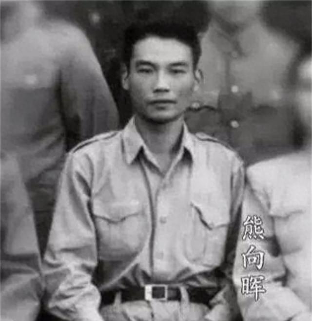 1982年，红色特工熊向晖准备退休，叶剑英了解情况后为何要请示中央，希望他不要急