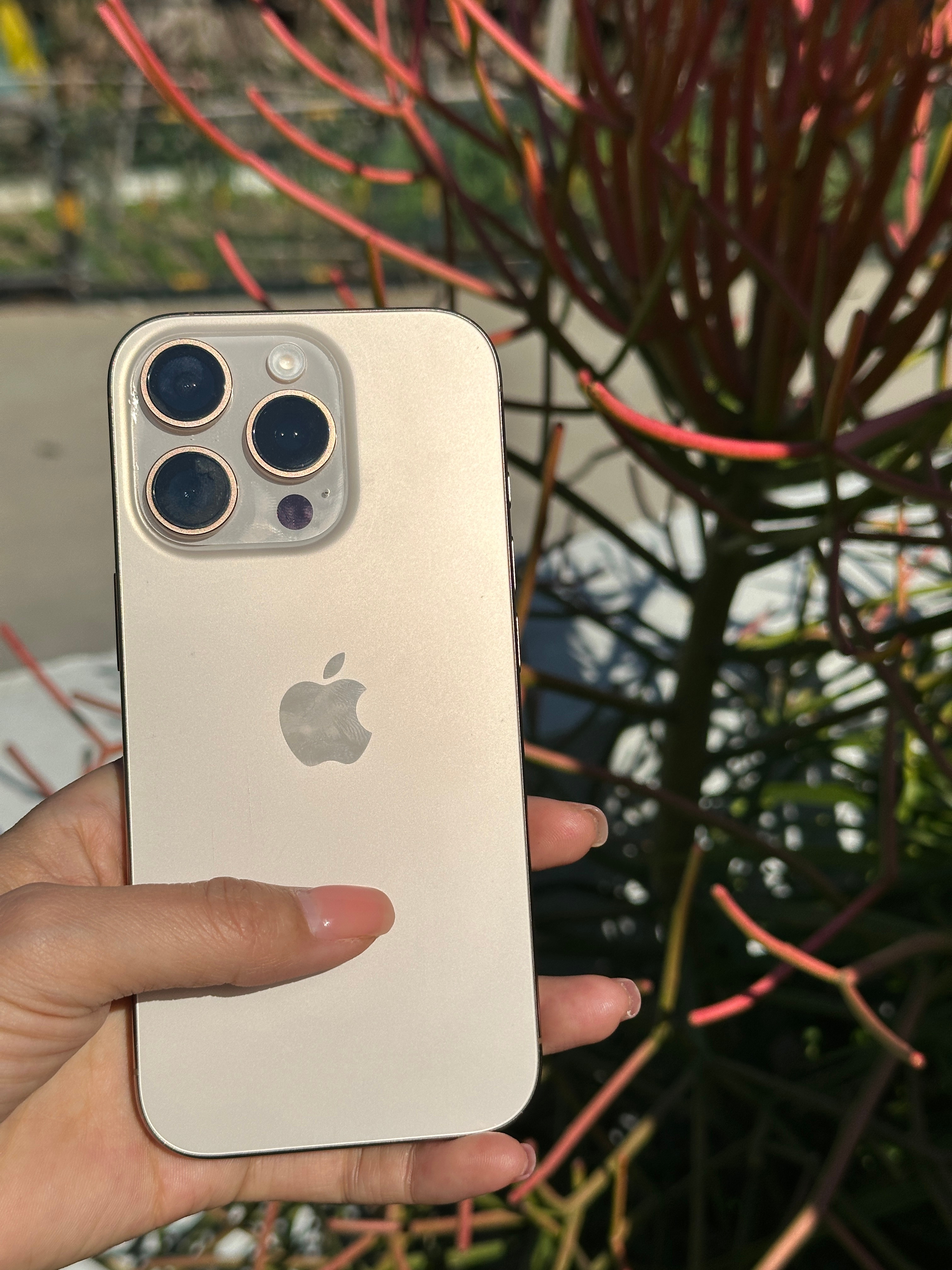 四五千还能买到旗舰手机吗存储的芯片等因为AI导致价格上涨，间接也使的手机等数码产