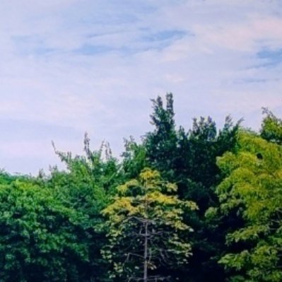 每日一善 漫步山野，静看草木生长。心存良善，所见之处皆是温柔🌿 
