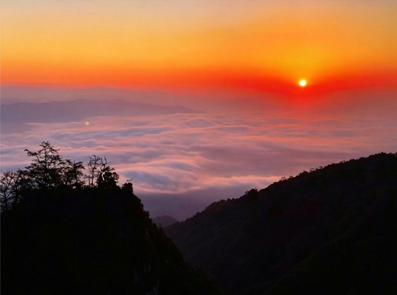分享一张最近随手拍的照片