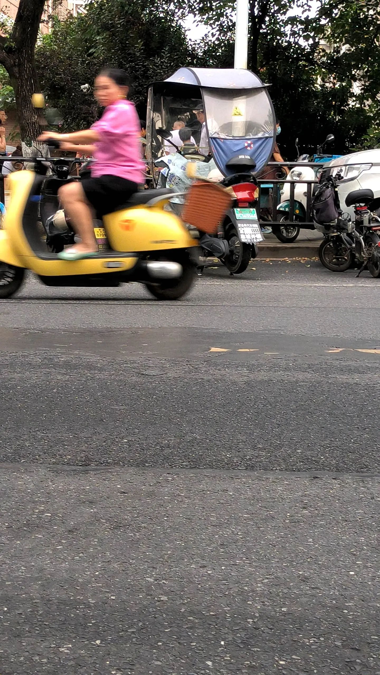 可爱的小电驴