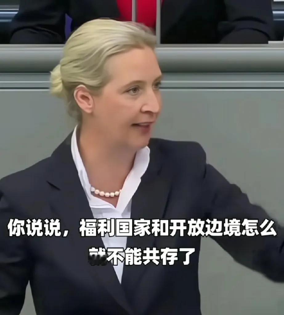 魏德尔总是能一针见血指出问题关键！
为什么选择党会有崛起趋势？
为什么执政党不再