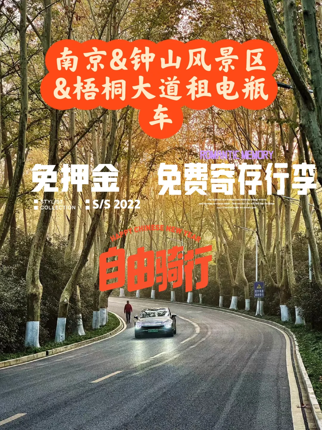 钟山风景区梧桐大道日租电动车29.9元！