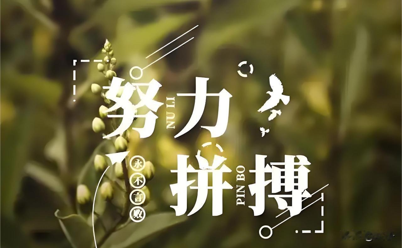 今天，我想把这句话送给有点累的你

你是不是也有这样的时刻？
——明明很努力，却