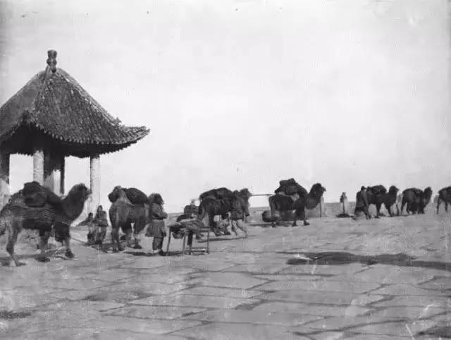 1905 年，美国旅行家弗兰克·尼古拉斯·迈耶，持相机穿梭于华夏大地，定格下清朝