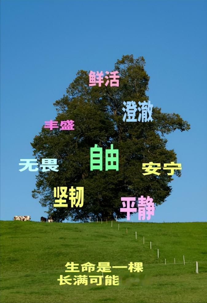 合盘真的很神奇的是能明确知道来不来电，合不合拍，就包括大家在意的生理性喜欢，性吸