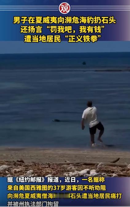 男子拿石头砸濒危海豹还嚣张炫富，当地人当场硬刚教做人，真的太没素质了！
 
在夏