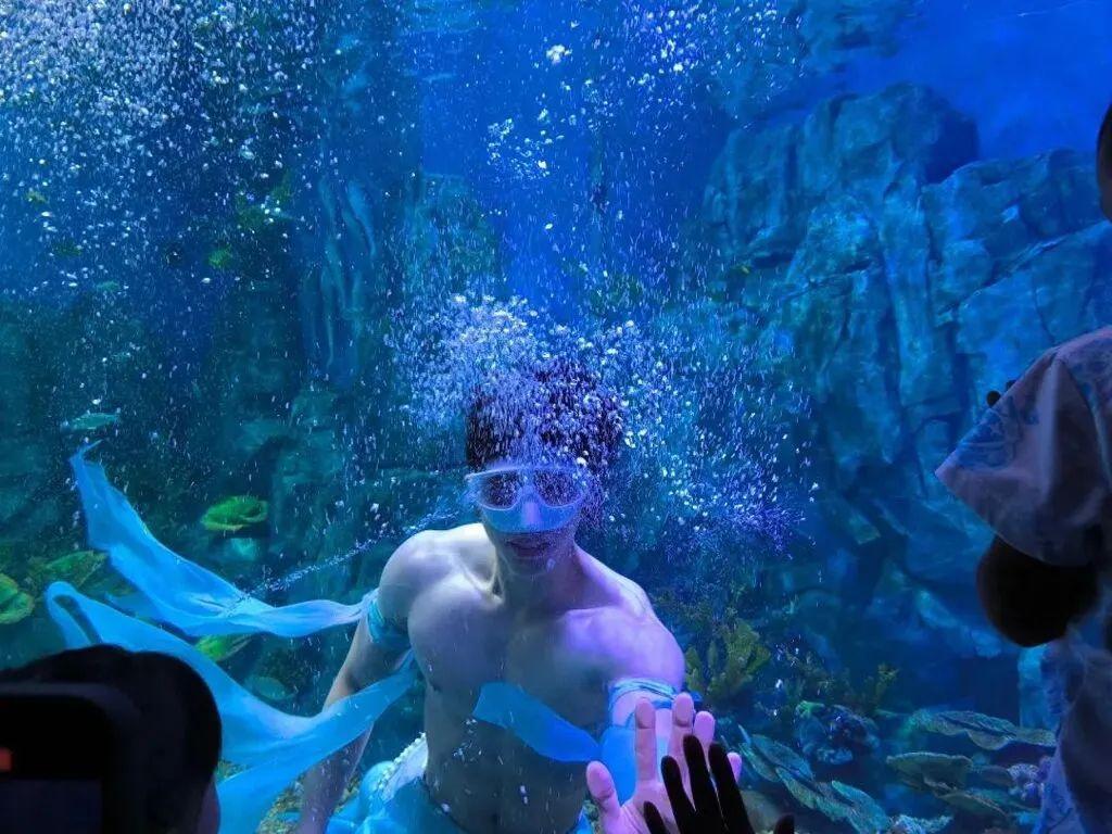 近日，一段“男美人鱼”在海洋馆水中表演的视频在网上疯传🤩。视频里，他身材健硕，
