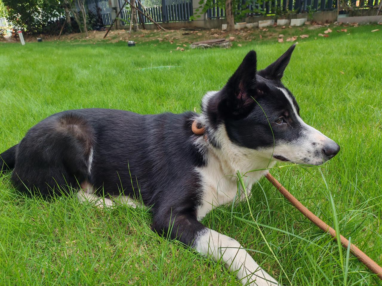 寻找全球最新的资金避风港。美伊战事持续了两周，不见缓和，油价被推高，时间正以一种