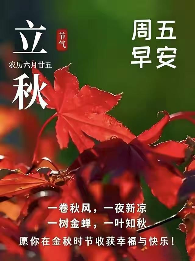 每天摸鱼打卡今日立秋。放下夏日浮躁吧！揣裹憧憬走进秋季，从容迈向美好未来！立秋快