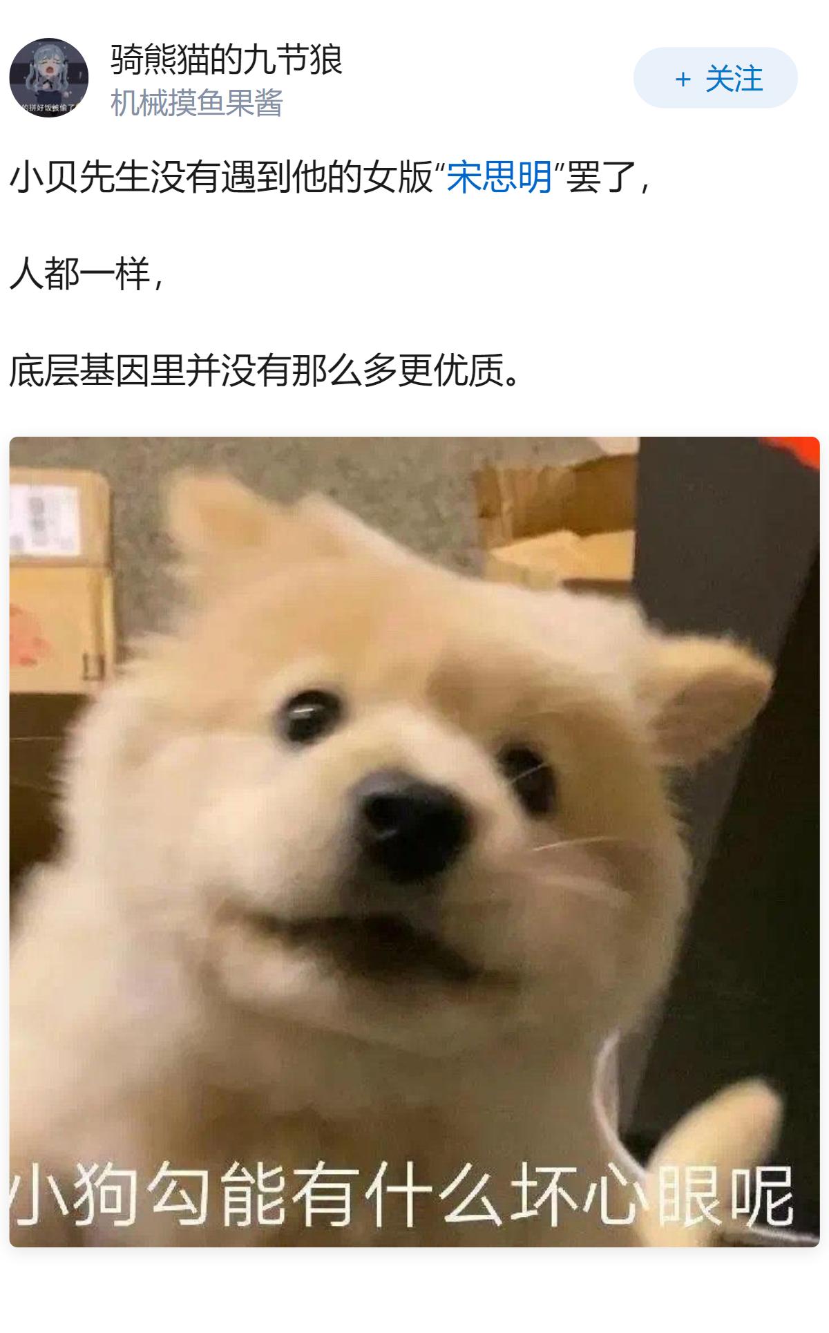 不明白为什么小贝对海藻那么好，海藻还是要背叛小贝？