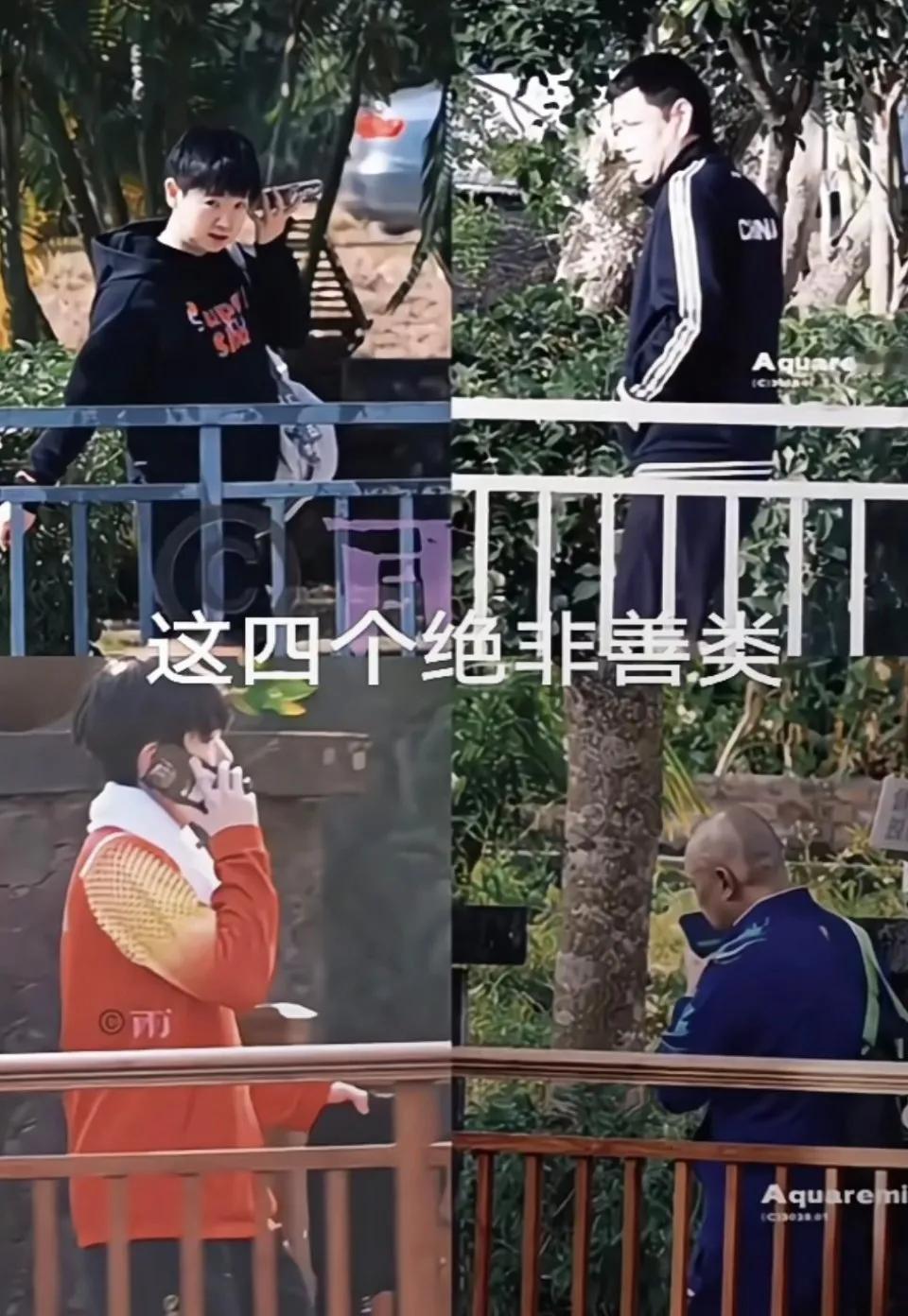 笑不活了，有网友说Coco被这三个人踢出群了。[捂脸]
难怪Coco每次都拿不到