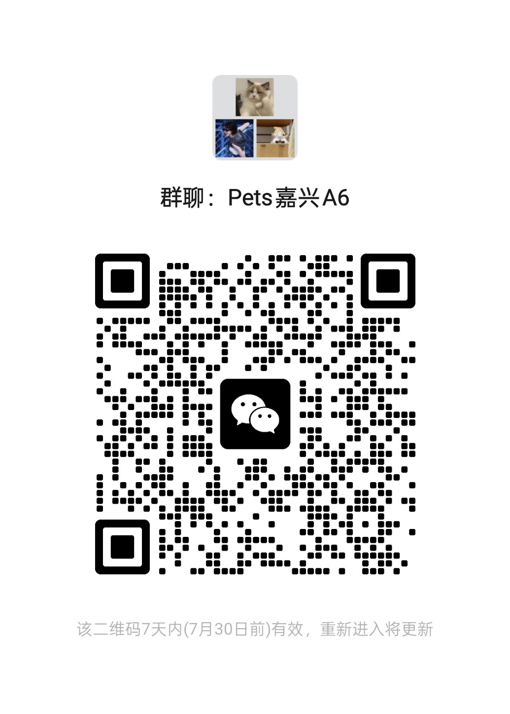 嘉兴演唱会已经陆续开票⭐为了给沛慈最好的应援诚邀各位已经收到座位号的朋友加入对应