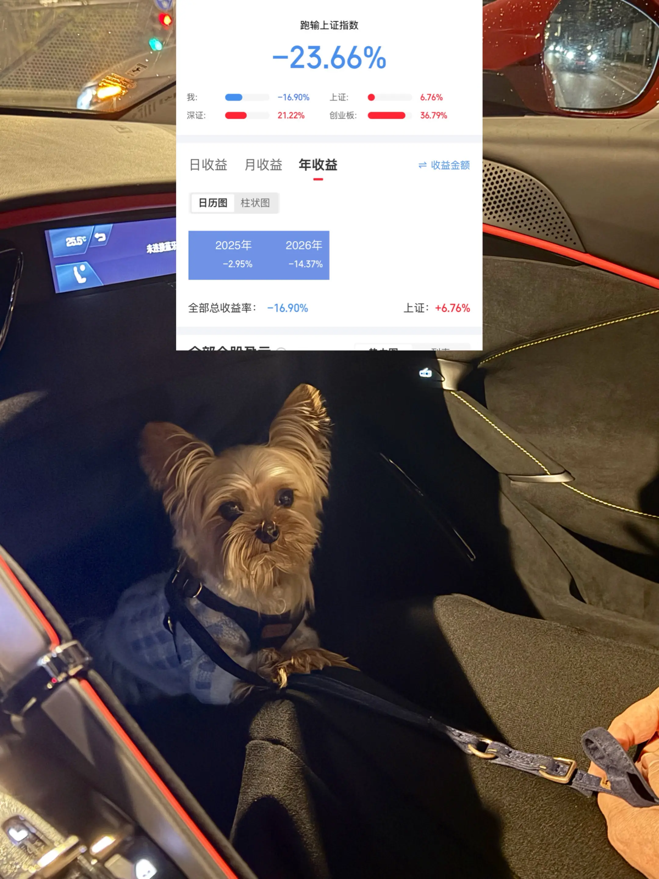 我就不信了，年年亏！韭菜的日常