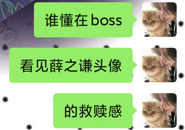 找工作看见薛之谦了 但很可惜 它不适合我