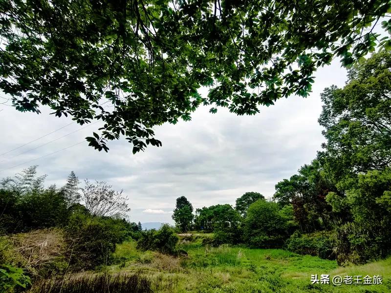 乡村原生态风景真的太绝了！就像湘潭栗山镇，环保志愿者张志军拍到蓝天白云下农户劳作