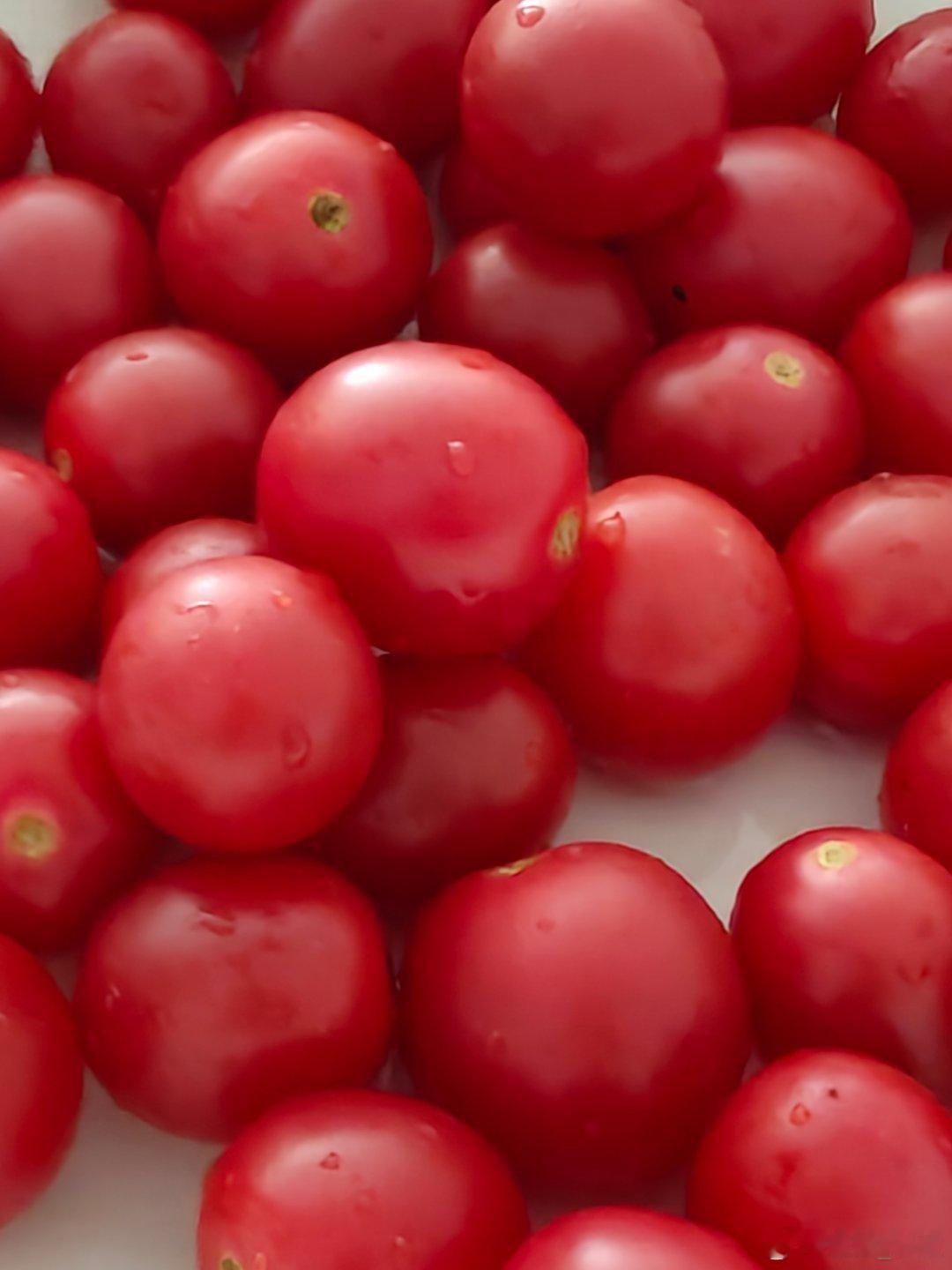 vivo 牛肉炖土豆，拍蒜黄瓜、再来个炒油菜，搭配一个鲜红圣女果点缀，荤素搭配，