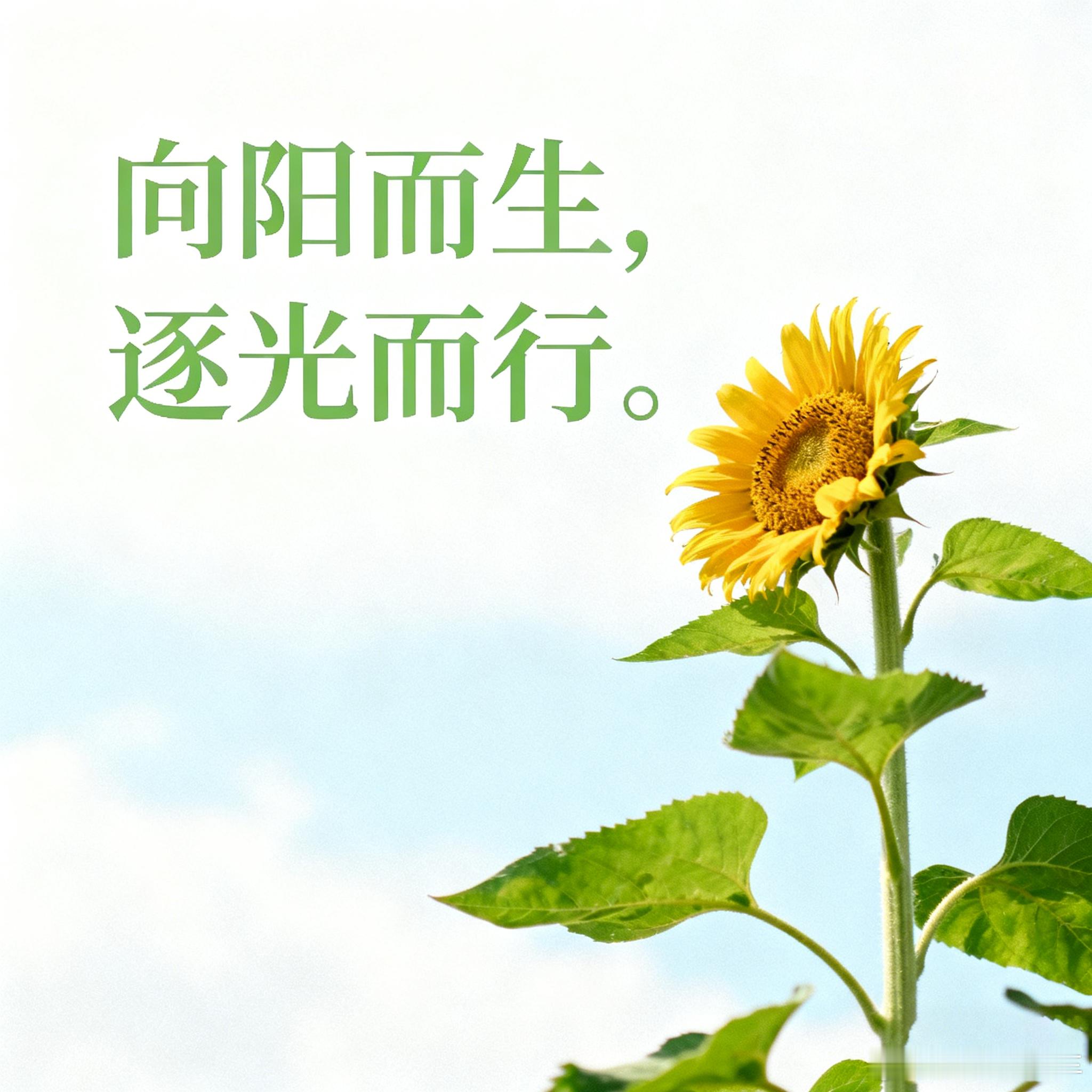 二师兄“各抒己见”系列之：智能座舱里，“大屏幕触控” 和 “实体按键”，你更习惯