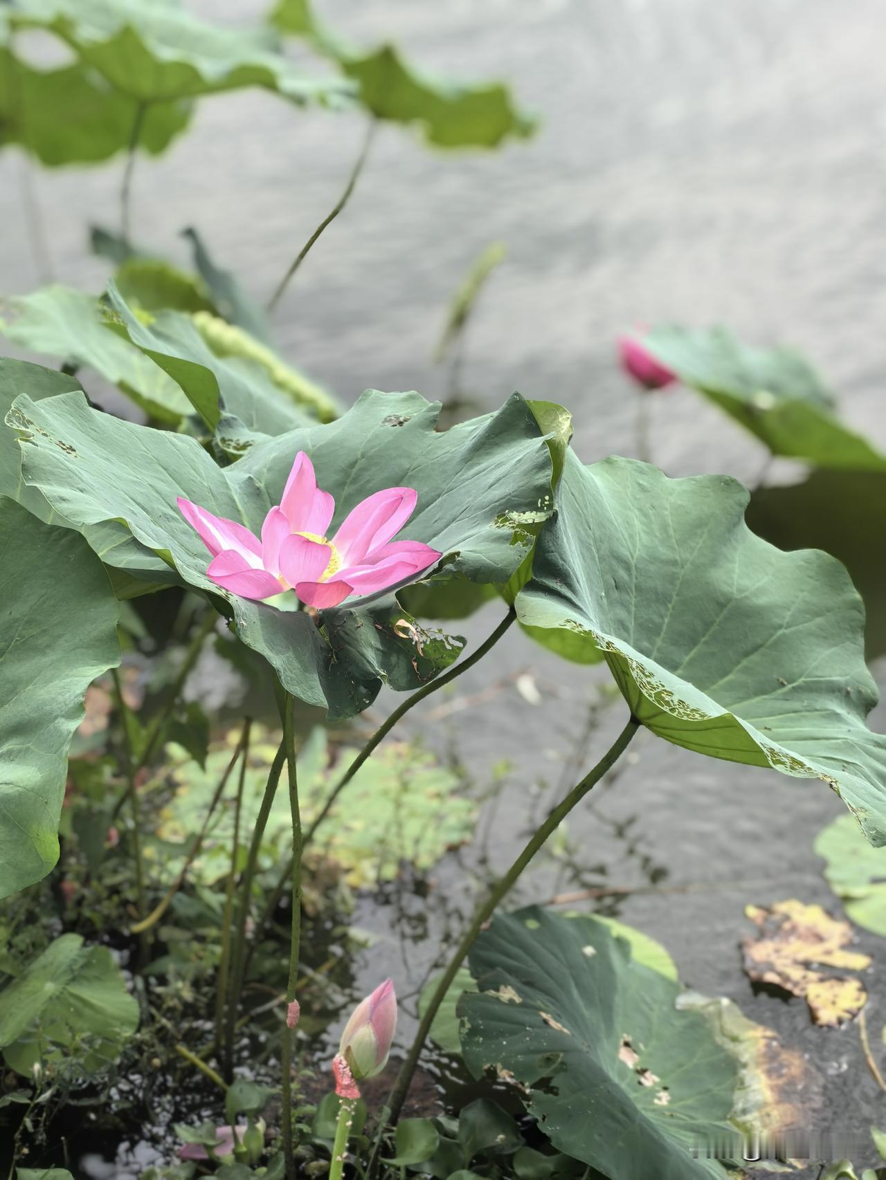 我时不时地会想去旅行，没什么确切的由头，也说不上是为了逃离什么。

接下来的秋天