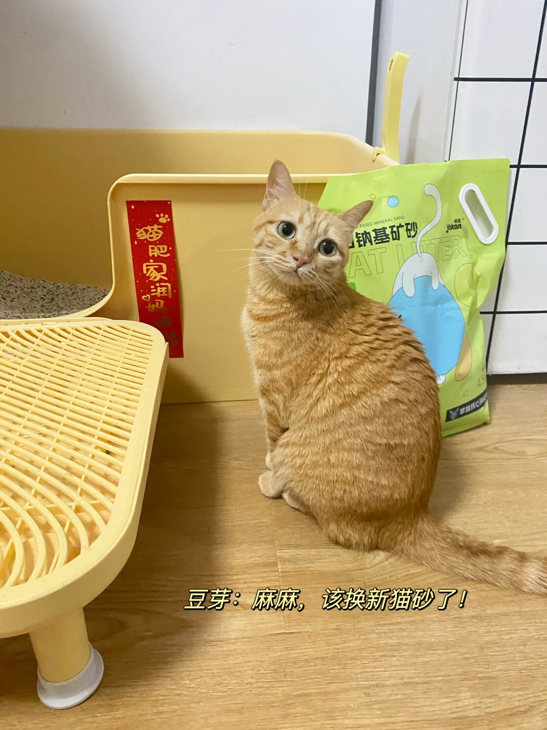 我那有洁癖的娃儿…