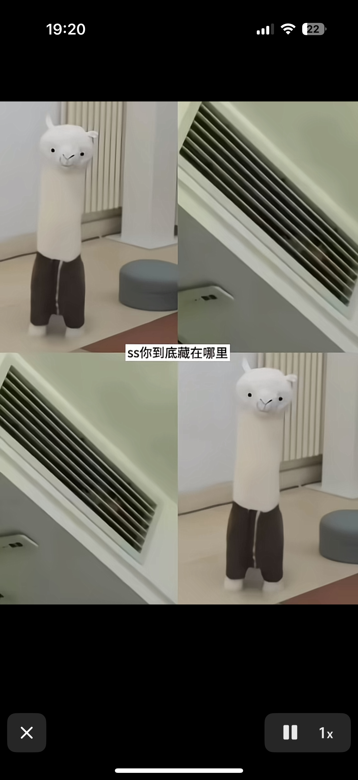 吓死我了，这群ss疯出了一种境界 