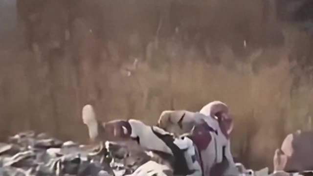 官宣！张雪将于10月25日在麻阳挑战机车水上漂吉尼斯世界纪录