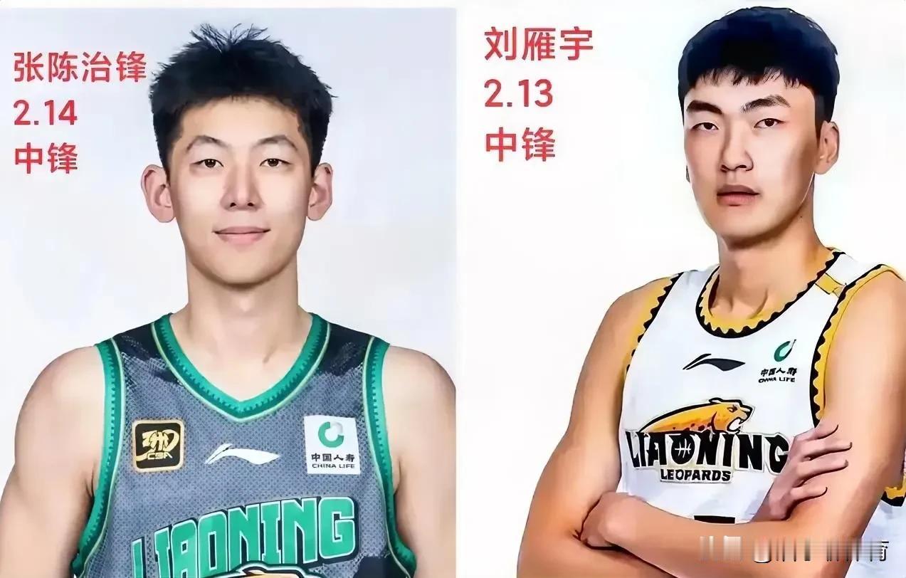辽篮的韩德君如果退役，张陈志峰和刘雁宇能够撑起辽宁队的内线吗？其实答案很简单。