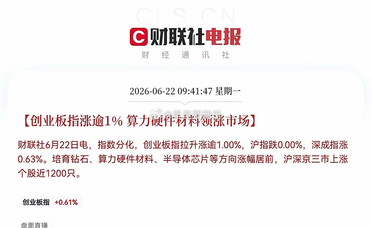 给操盘手加大鸡腿吧…万万没有想到，再大的利空都已经干扰不了科技股的向上趋势了，满