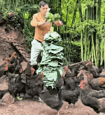 劳动人民的智慧是伟大的。这和土耳其烤肉是一个道理，只不过这是素的。