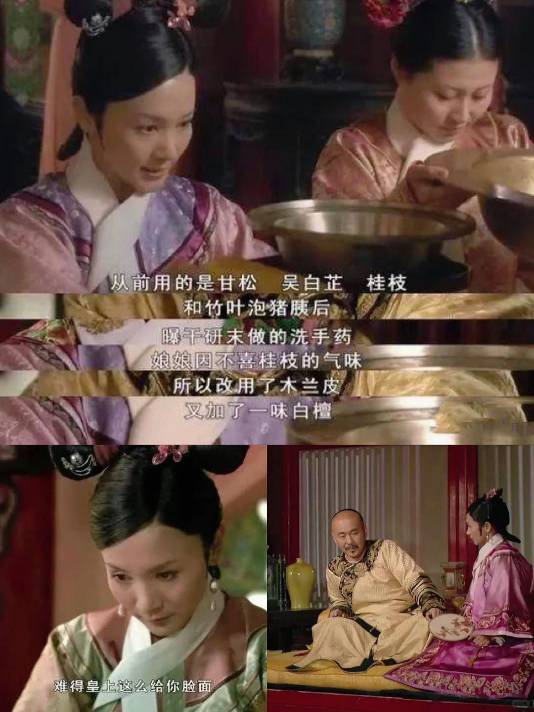 大胖橘宠幸颂芝的真相细思极恐～