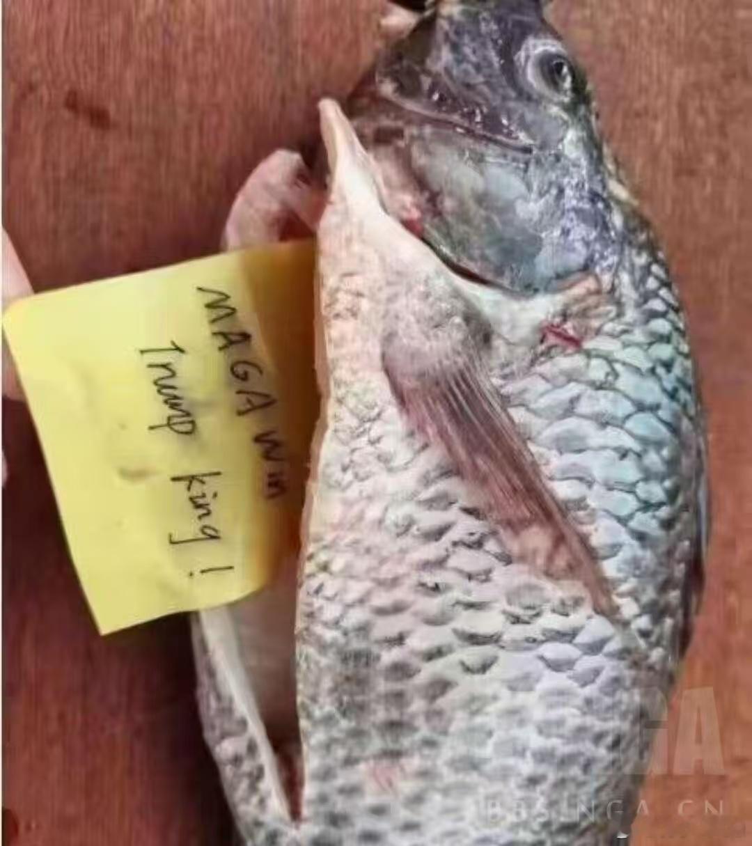 想问下做辅助驾驶的大佬就是不少品牌的辅助驾驶有一个问题，就是往往要车开到很接近红