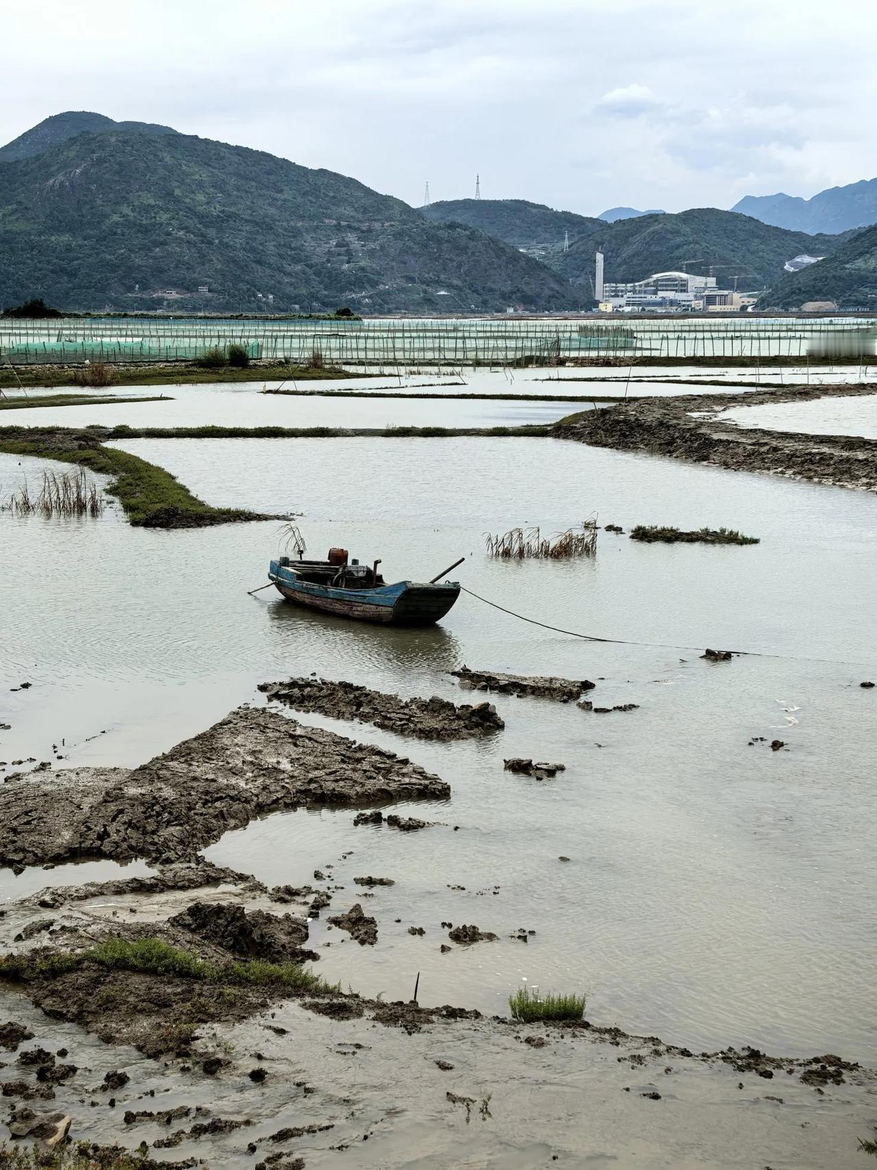 按理说，家事国事天下事，事事应该关心。然而我在想，俄乌冲突、黎以冲突，联合国都解