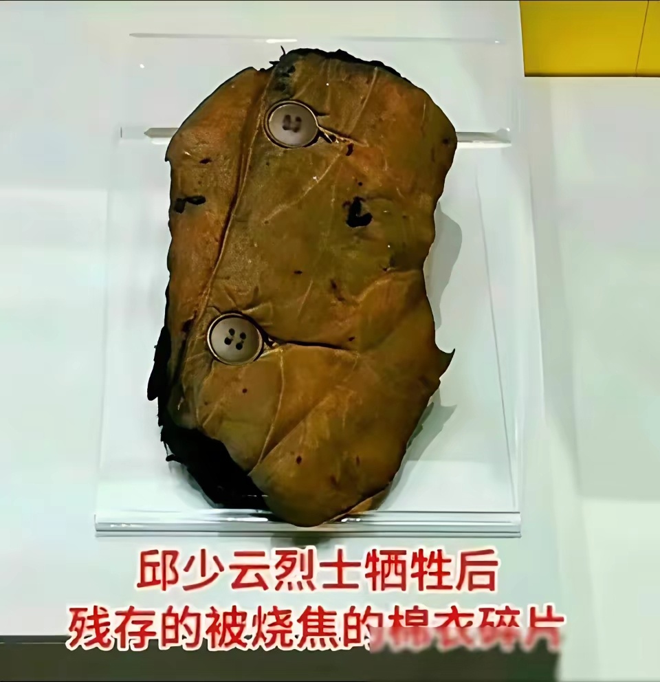 护国龙麟 