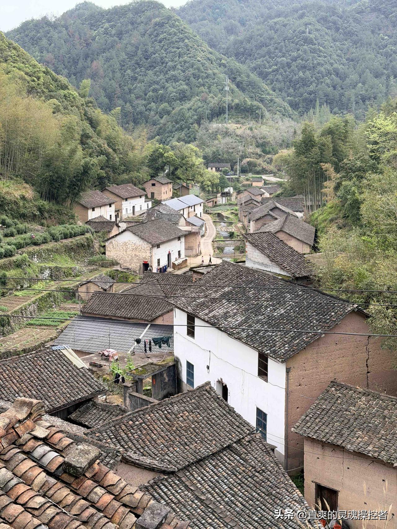 浙江山区农村真实写照，看完直接破防！
当网红滤镜褪去，这才是浙江山区农村最真实的