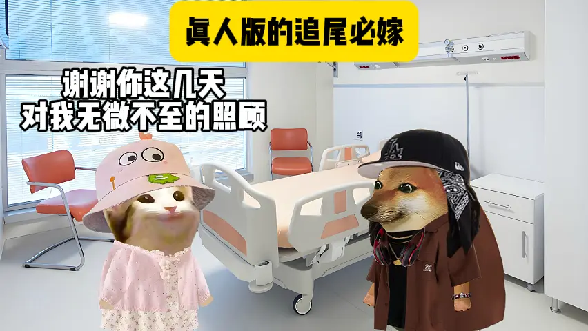 追尾必嫁真人版。