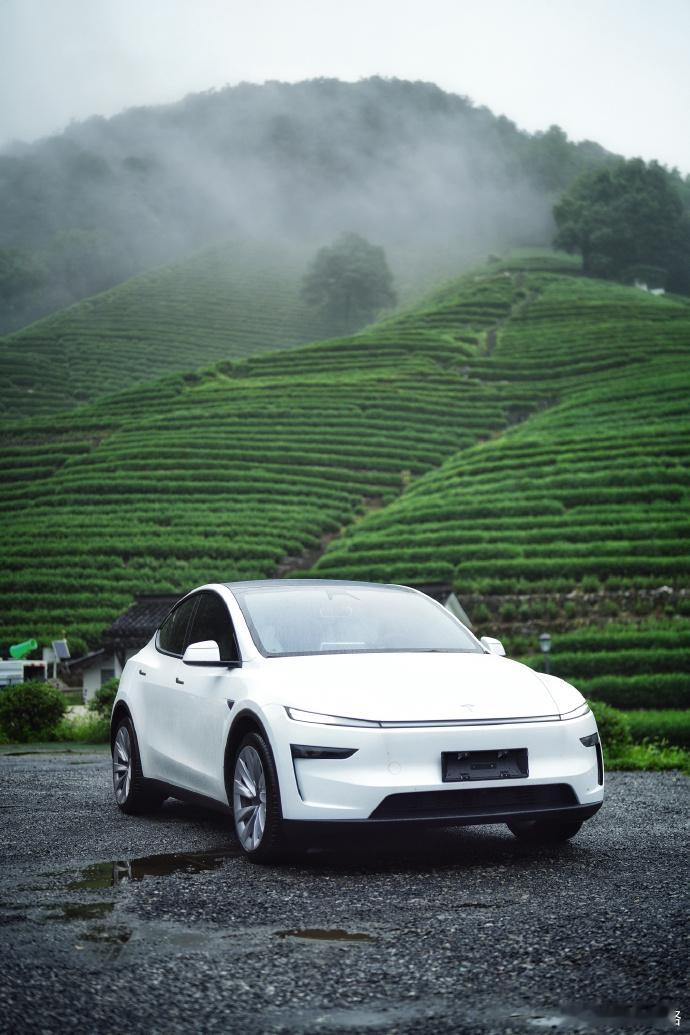 坐等特斯拉Model Y的好消息大v聊车特斯拉ModelY ​​​