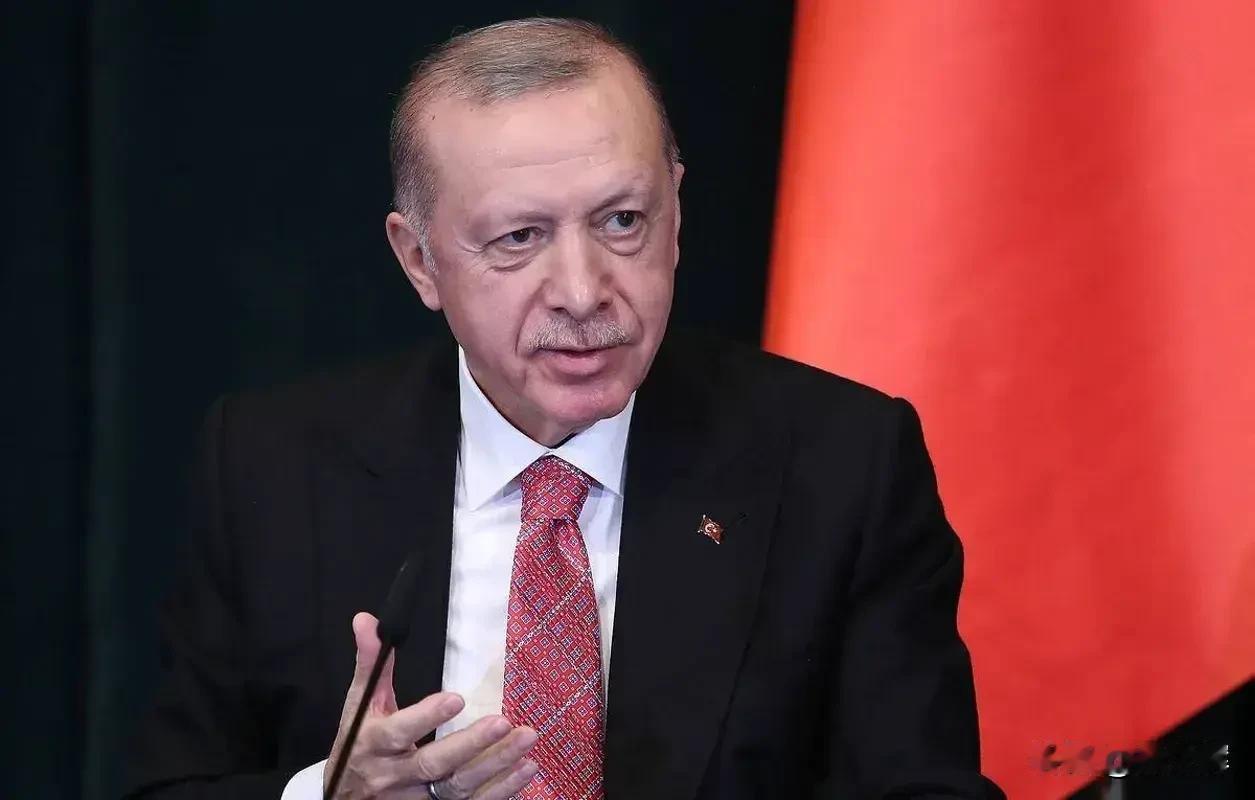 埃尔多安欲在叙利亚上空布下“耳目”

《耶路撒冷邮报》援引西方情报机构消息称，土