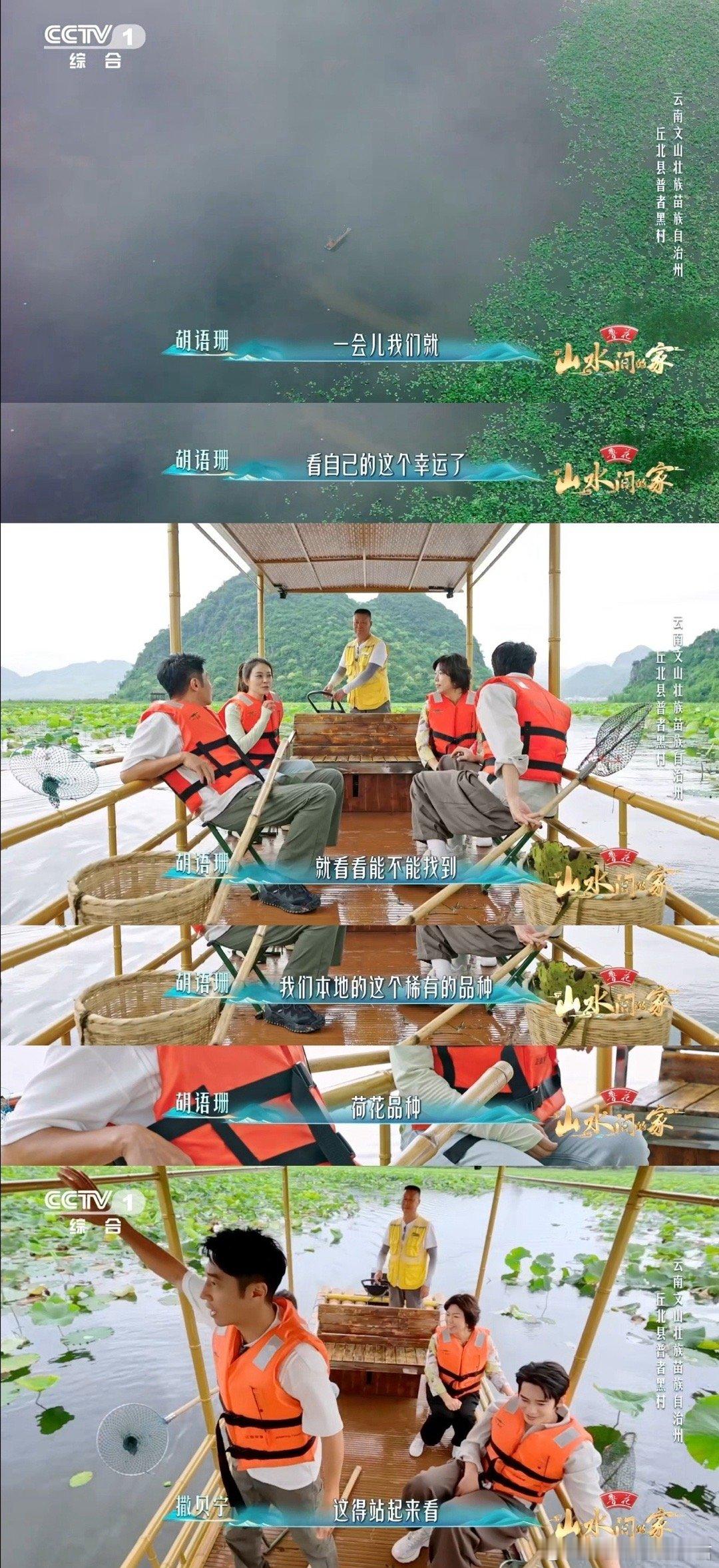 云南一村集齐300多种荷花云南的荷花，一年四季都在惊艳你！三百种荷花同开，清新与