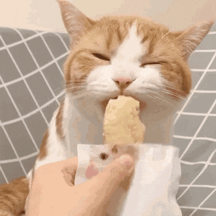 此刻，慢慢享用餐后甜品的时间到了